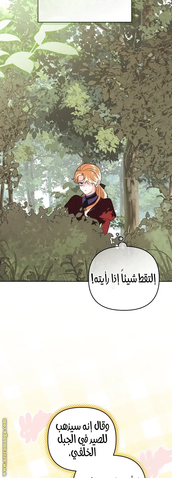 الصفحة 45