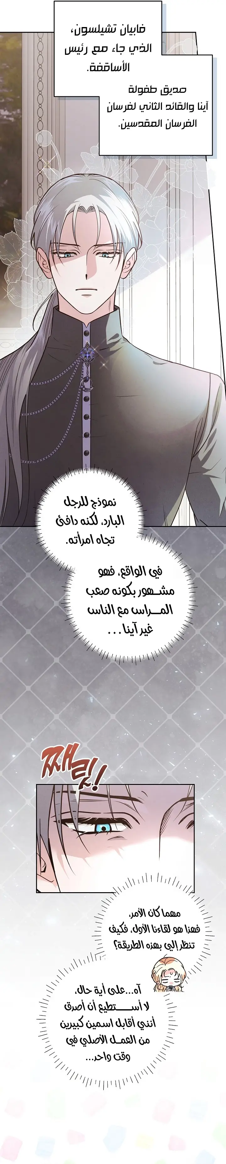 الصفحة 13