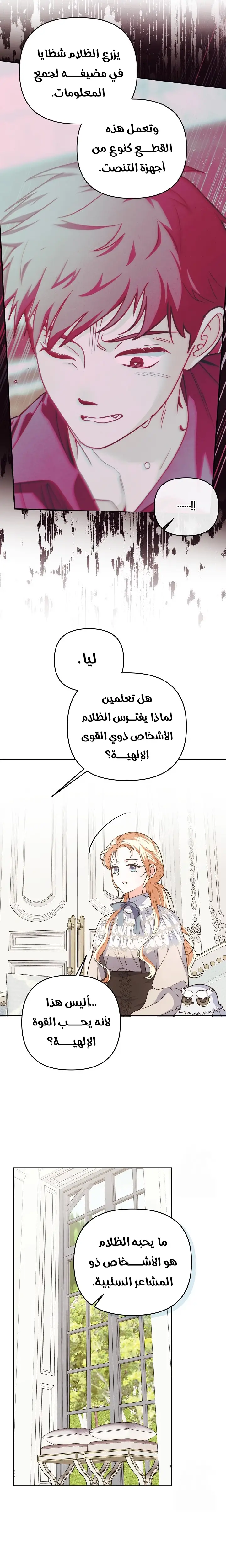 الصفحة 17