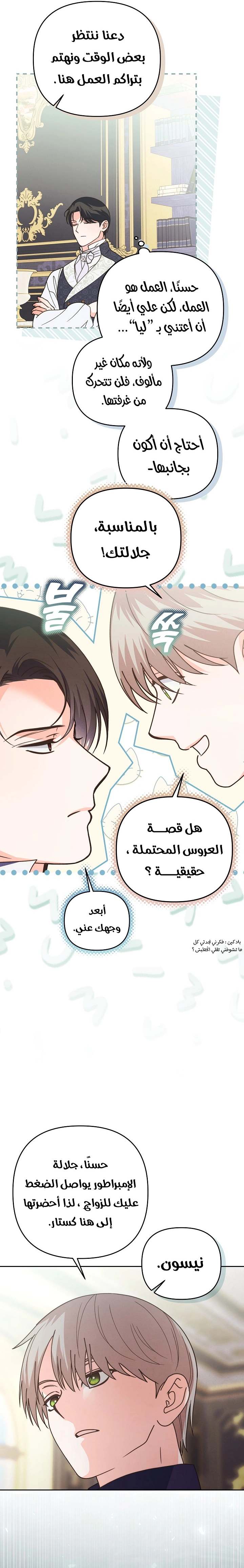 الصفحة 14