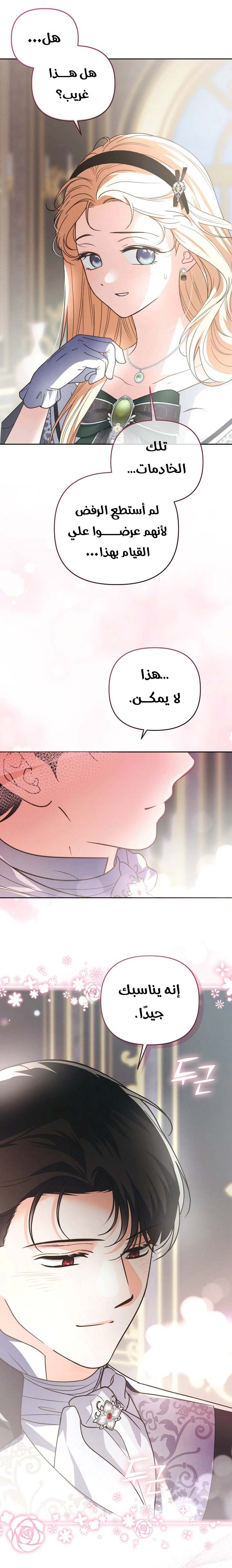 الصفحة 17