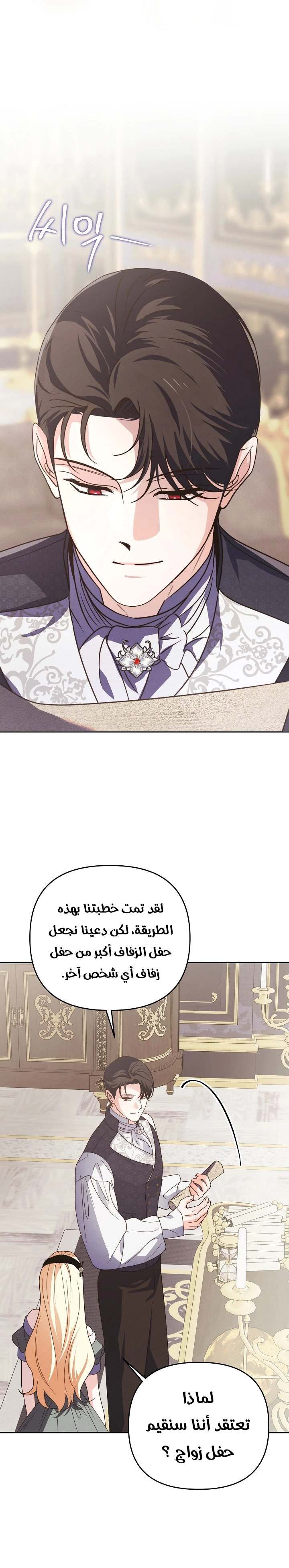 الصفحة 29