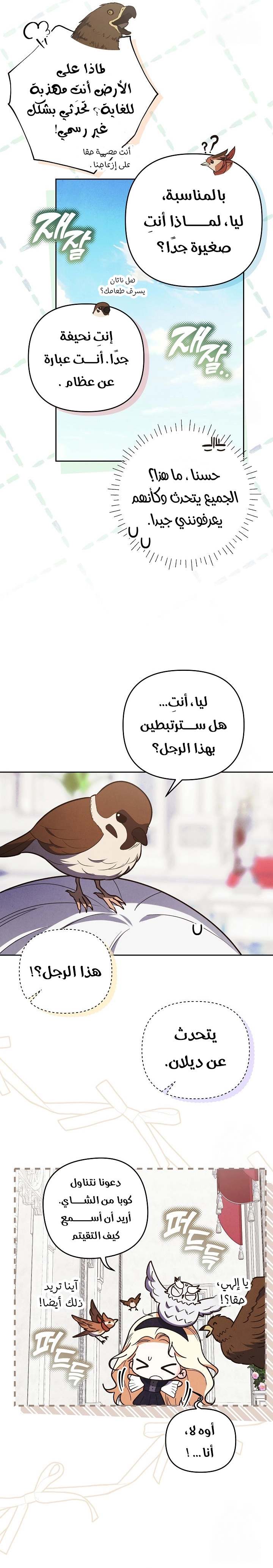 الصفحة 5
