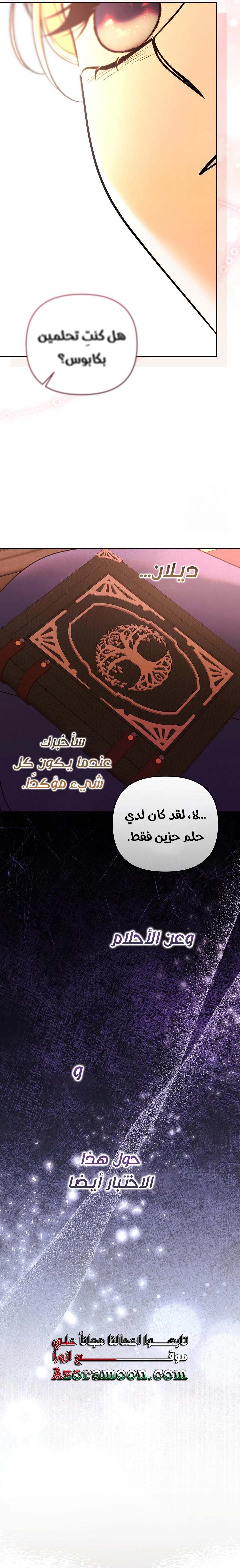 الصفحة 21