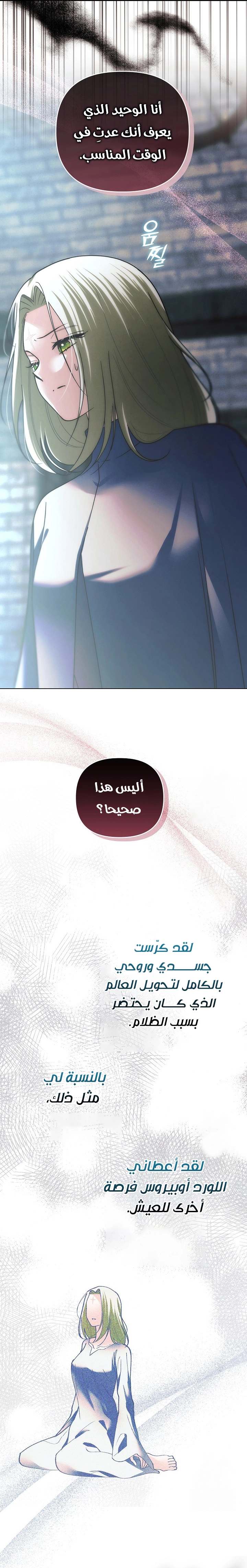 الصفحة 24
