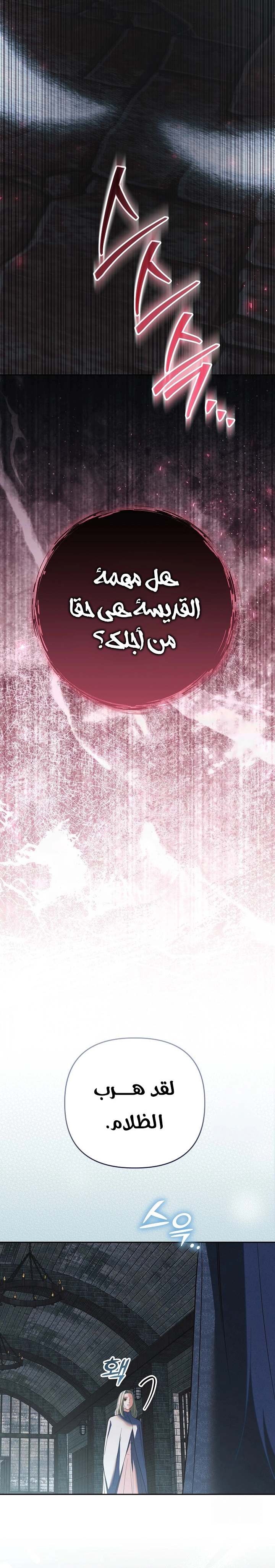 الصفحة 29