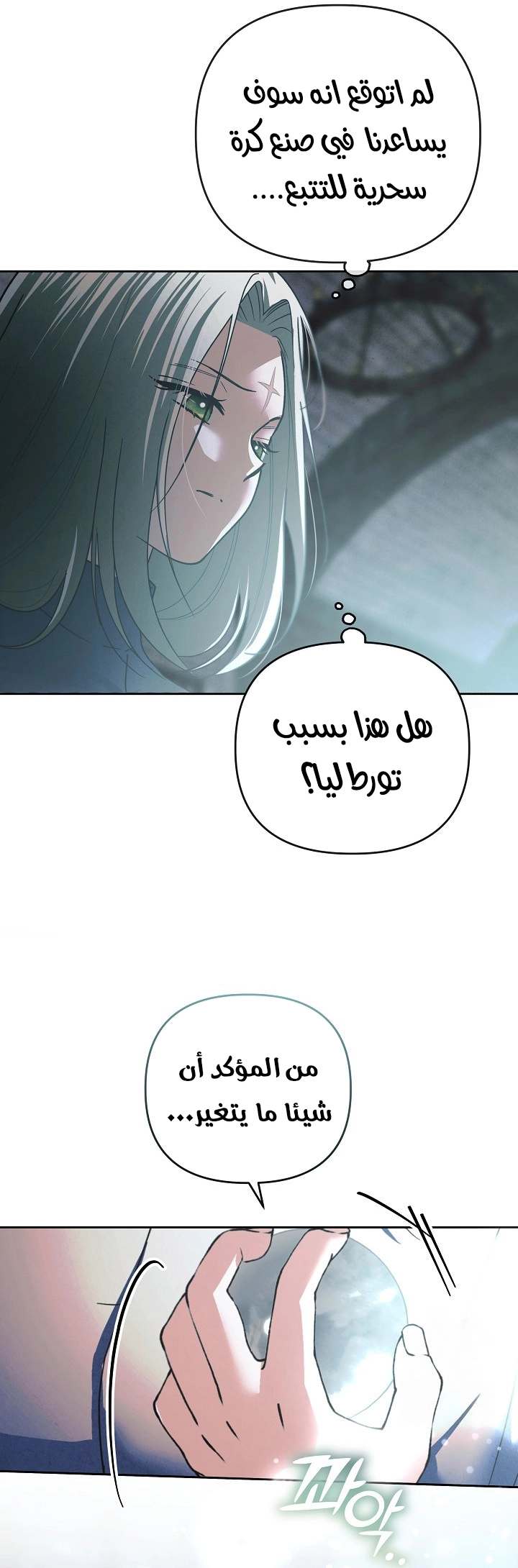 الصفحة 31
