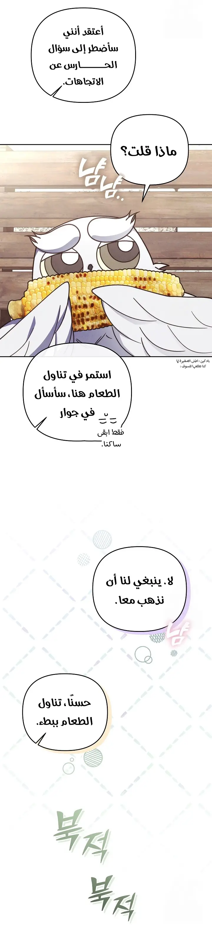 الصفحة 3