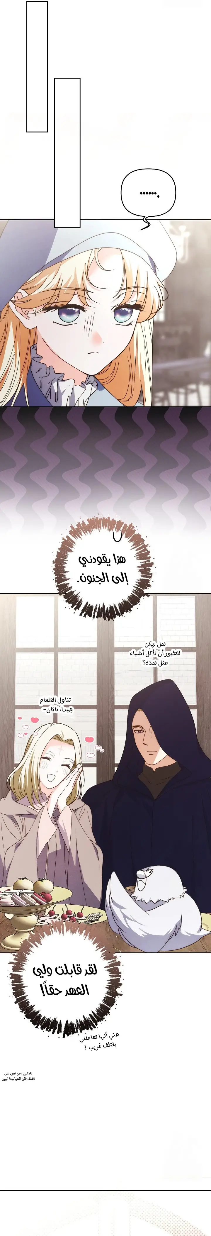 الصفحة 26
