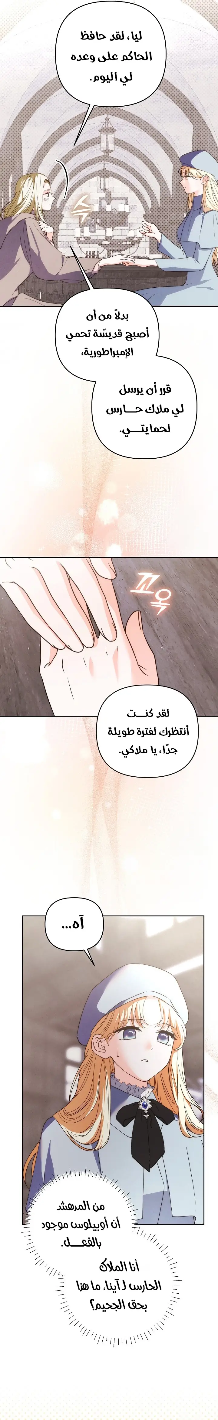 الصفحة 27