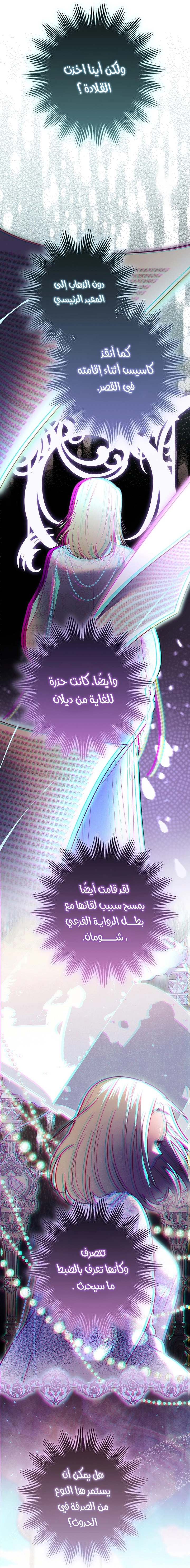 الصفحة 17