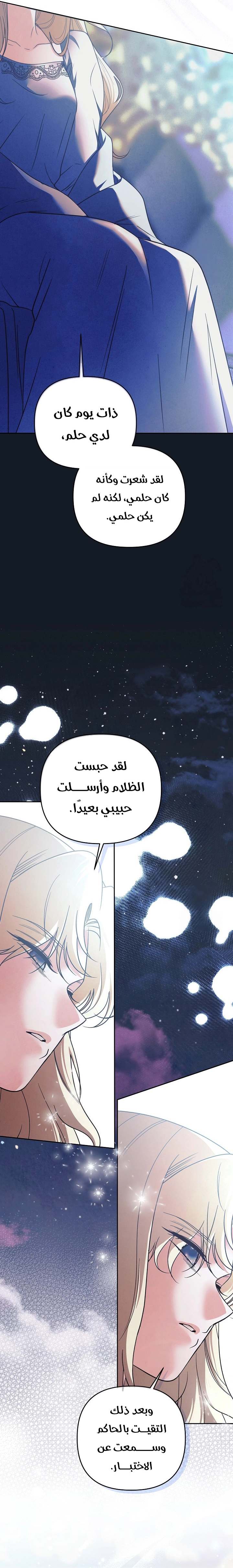 الصفحة 26