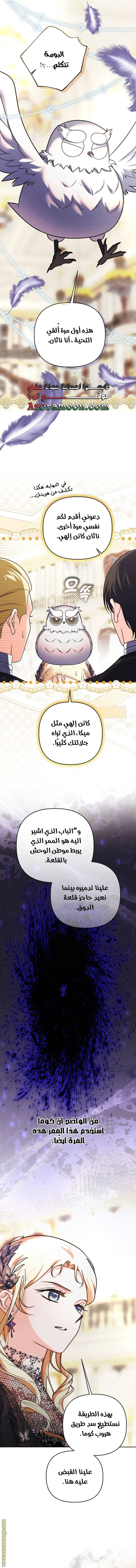 الصفحة 5
