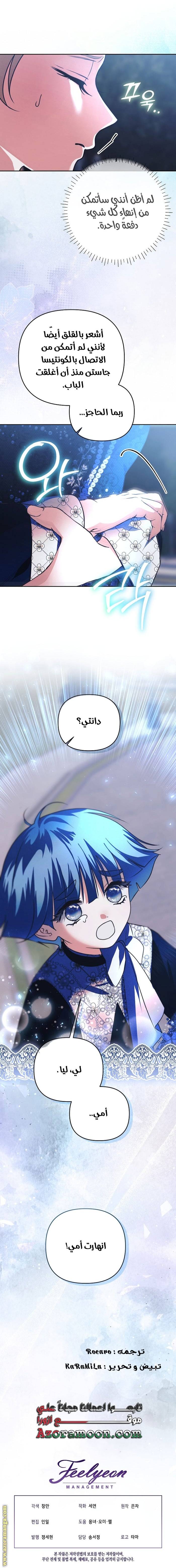 الصفحة 17