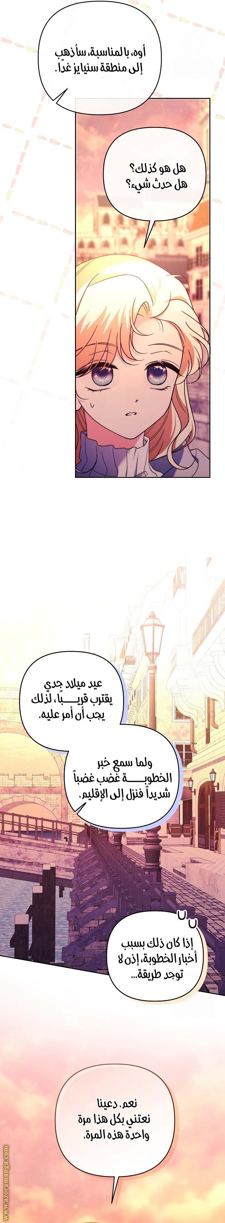 الصفحة 25