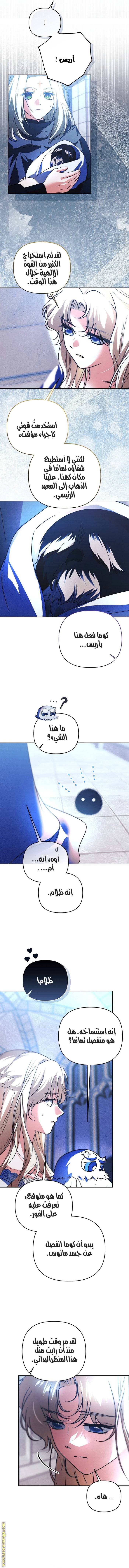 الصفحة 8
