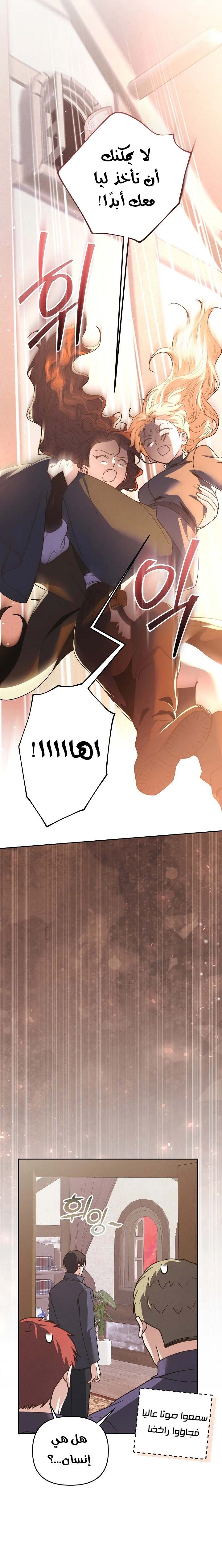 الصفحة 23