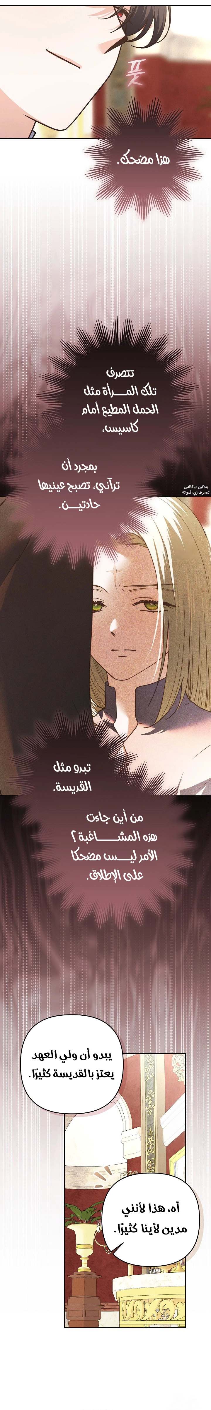 الصفحة 15