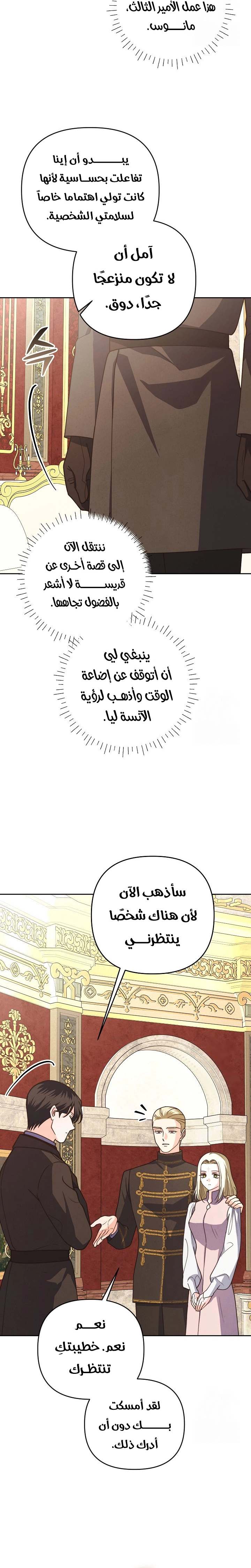 الصفحة 17