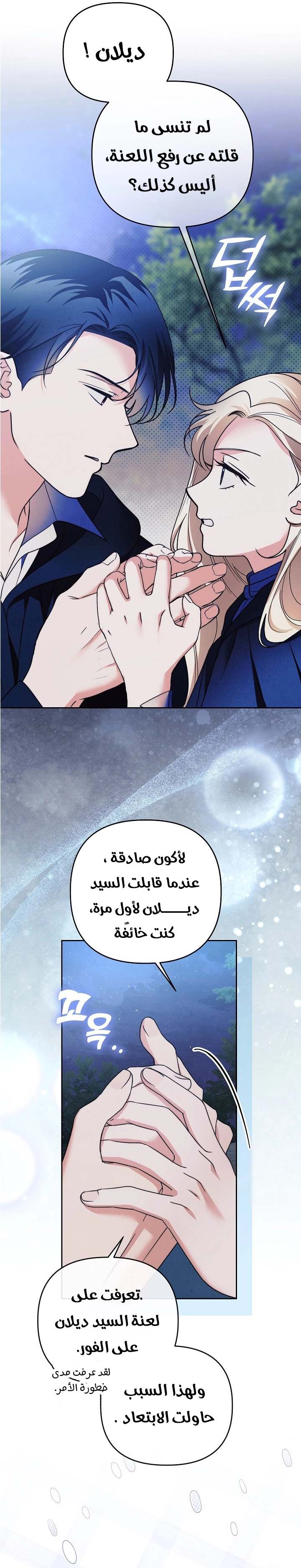الصفحة 26