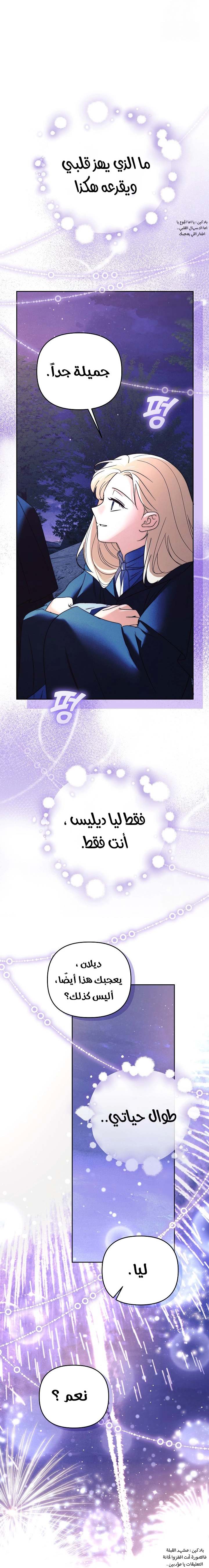 الصفحة 28