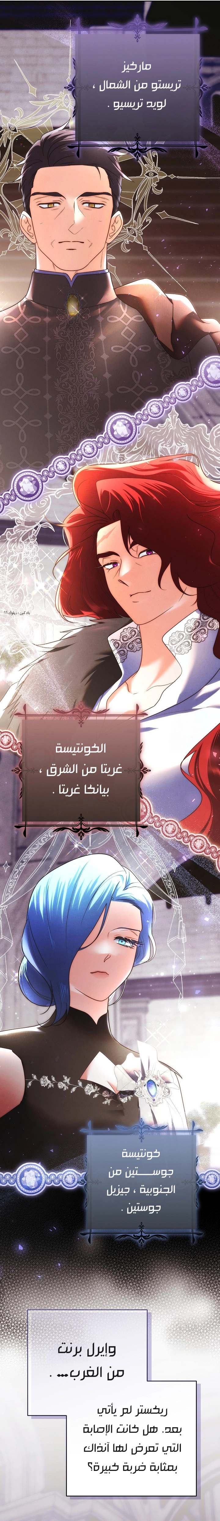 الصفحة 13