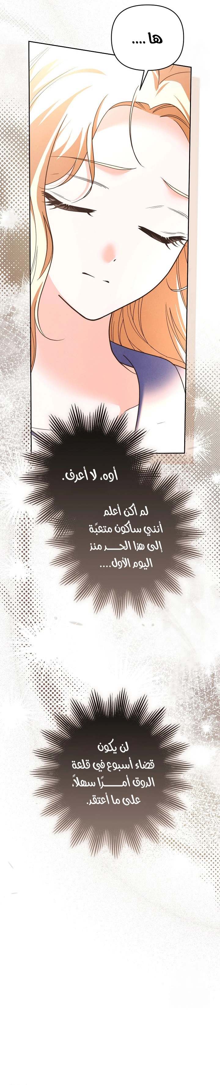 الصفحة 22