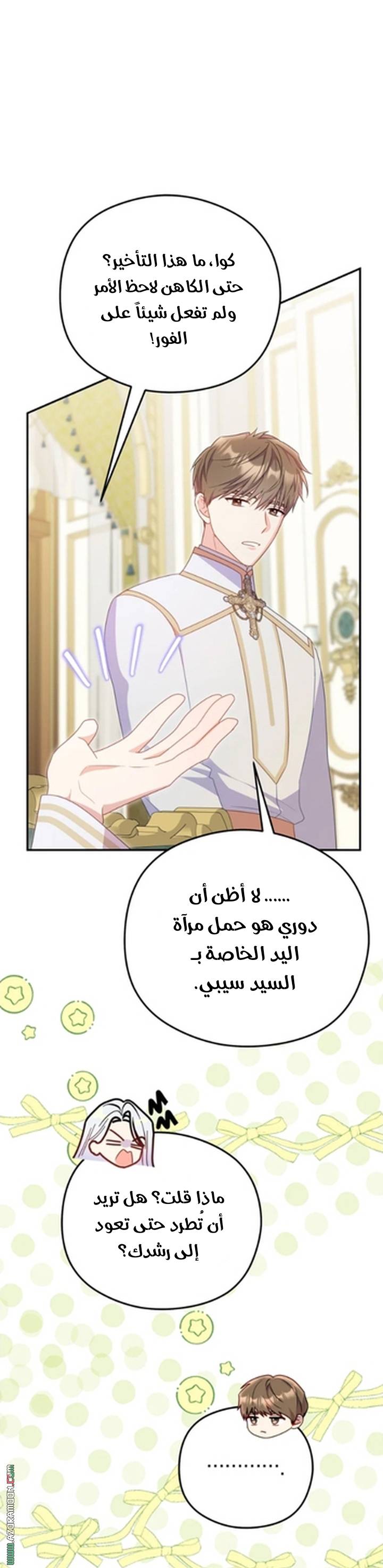 الصفحة 13