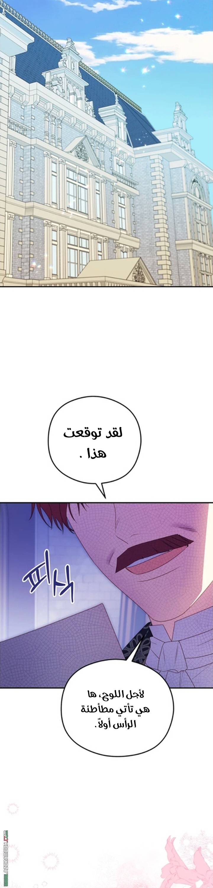 الصفحة 29