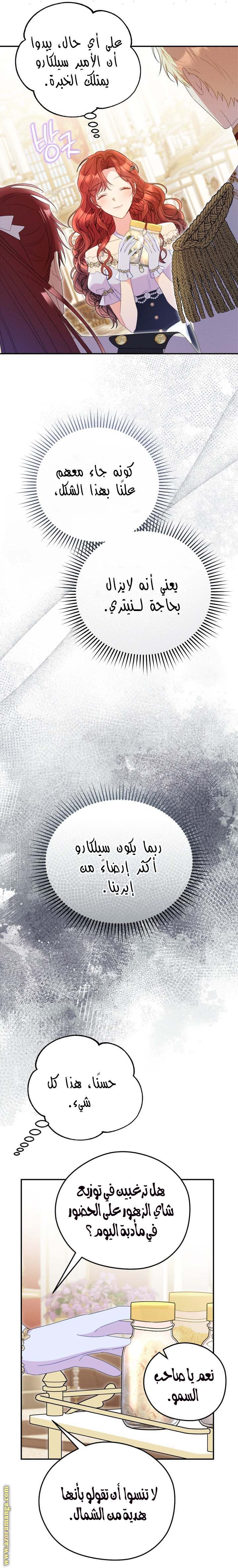 الصفحة 3