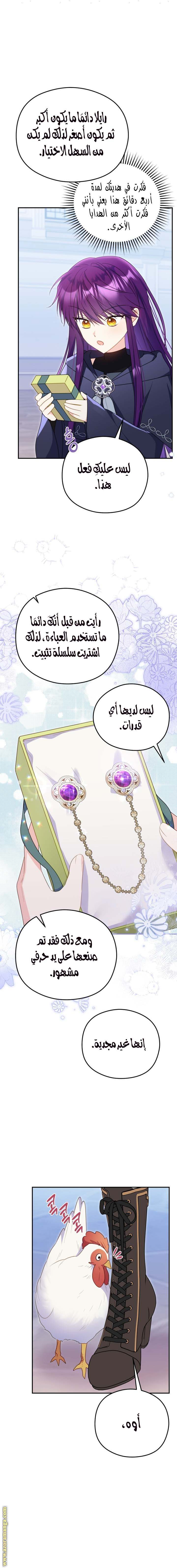 الصفحة 11