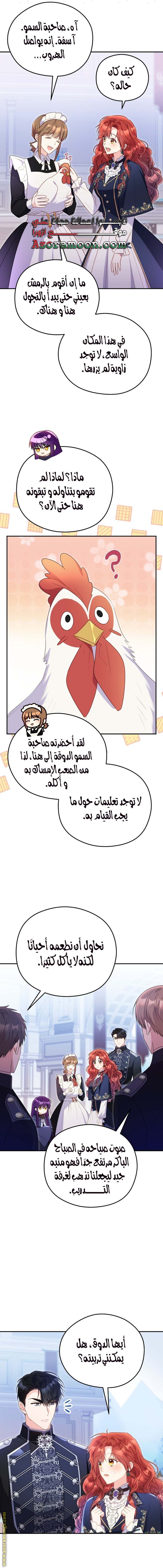 الصفحة 12