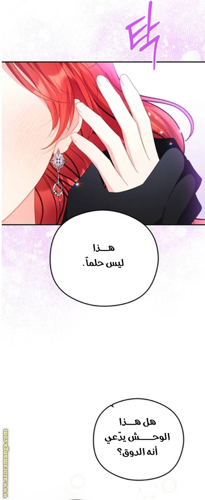 الصفحة 41