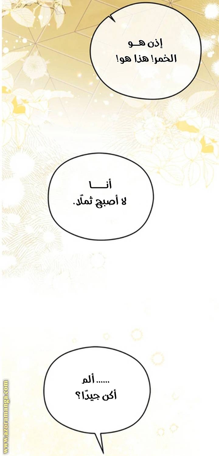 الصفحة 43