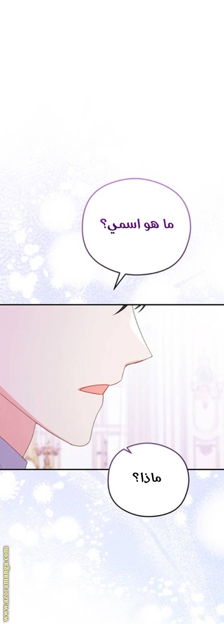 الصفحة 29