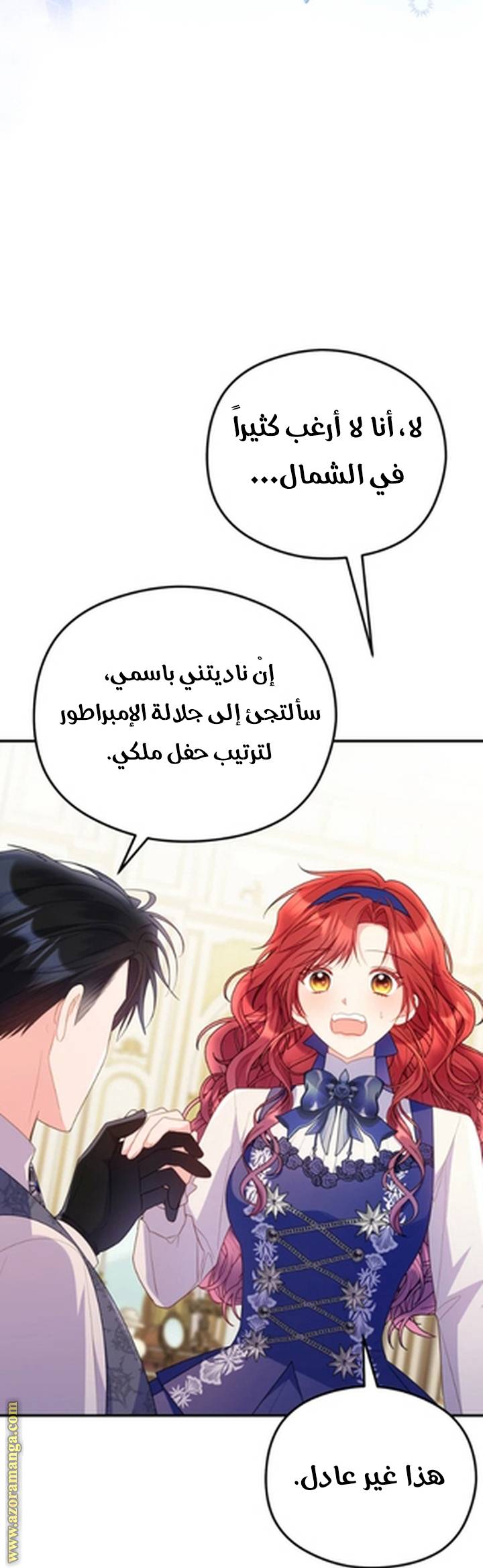 الصفحة 31