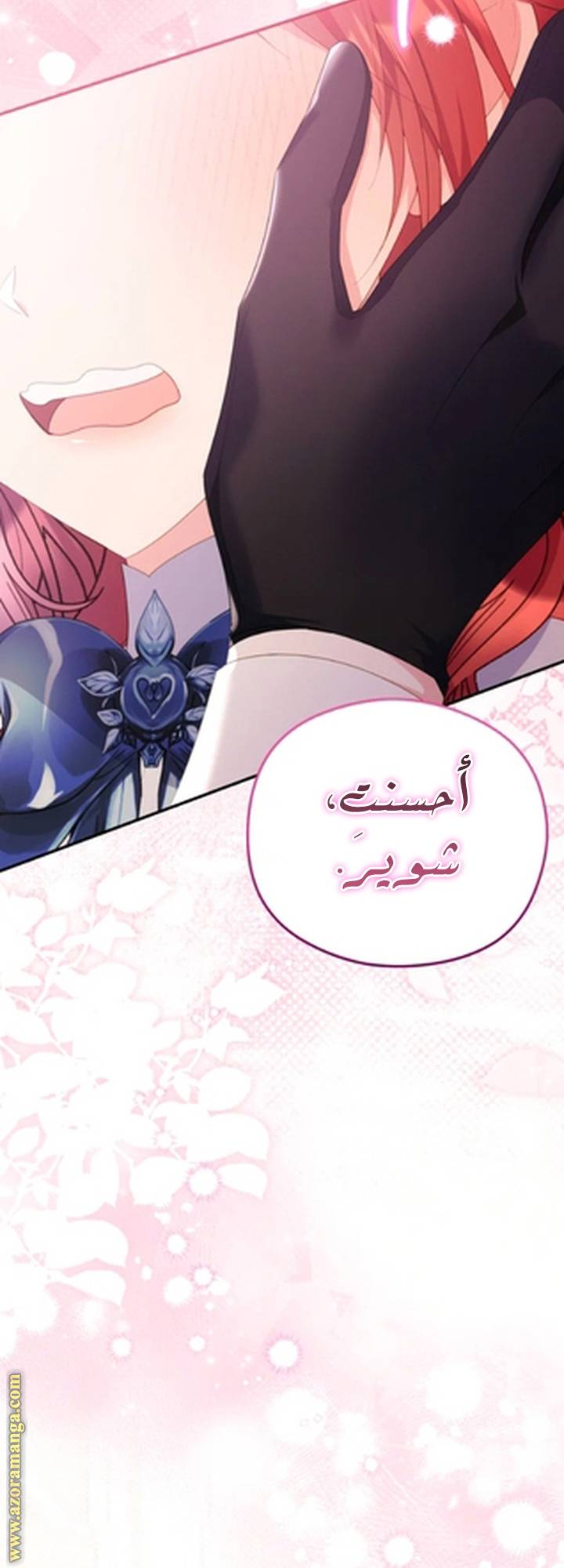 الصفحة 41