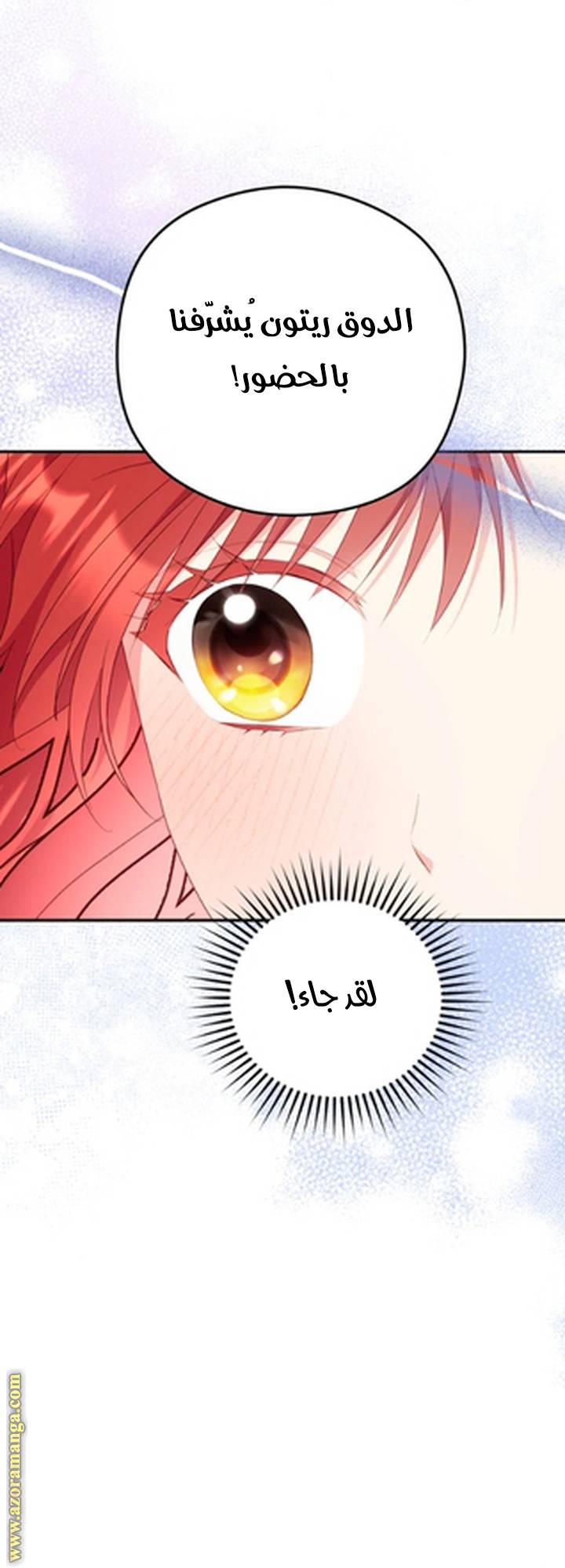 الصفحة 47