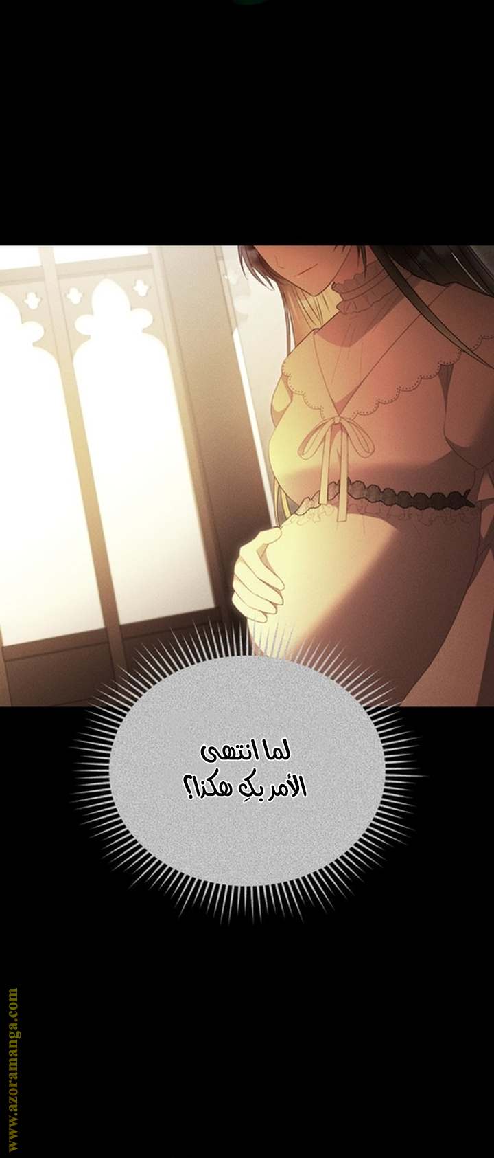 الصفحة 29