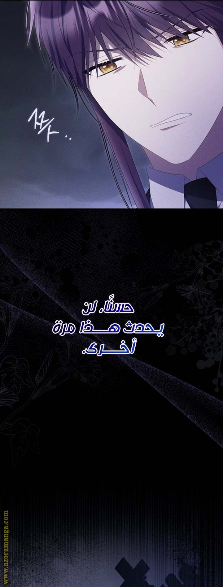 الصفحة 52