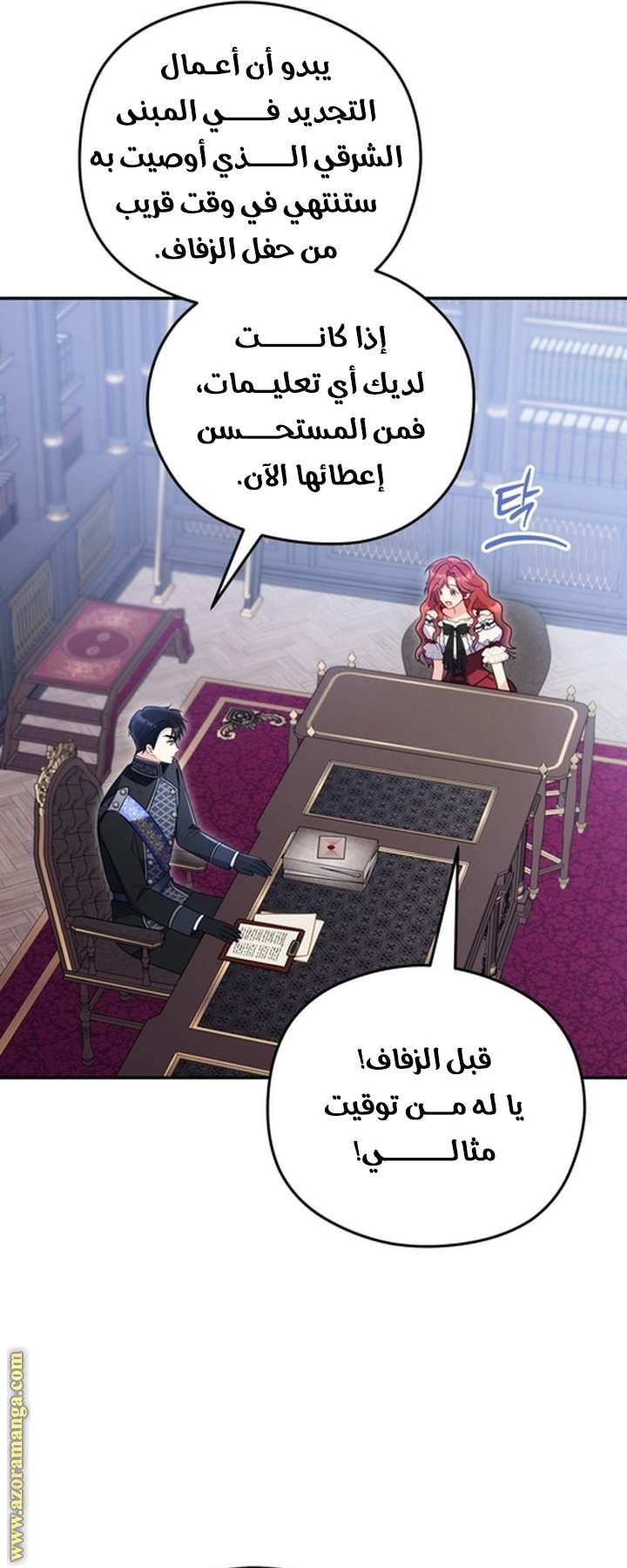 الصفحة 17