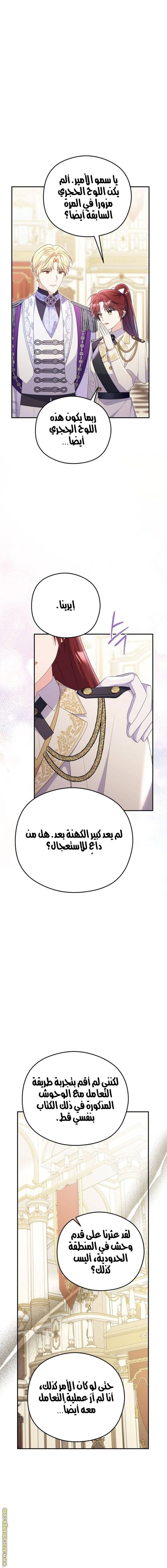 الصفحة 13