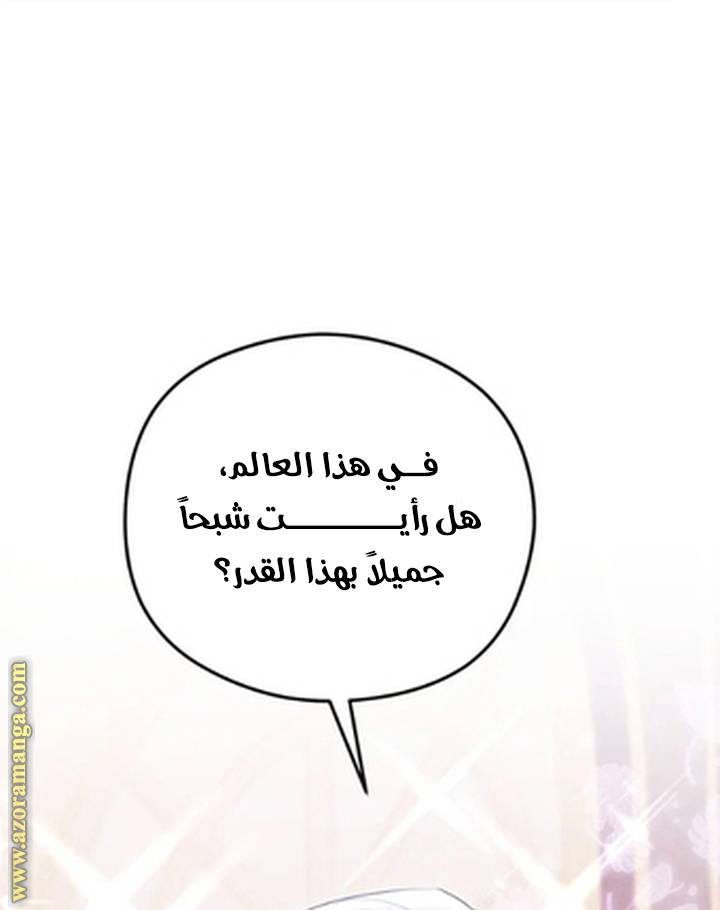 الصفحة 20