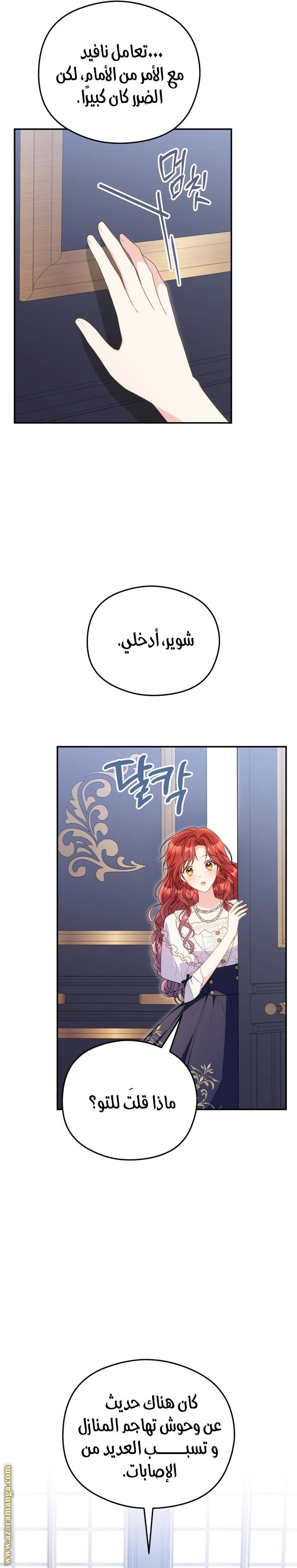 الصفحة 17