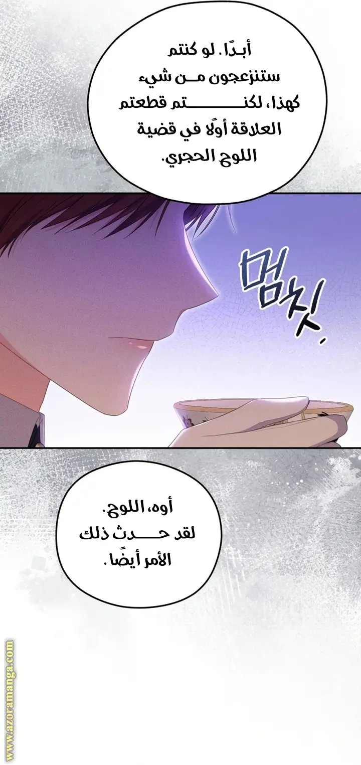 الصفحة 31