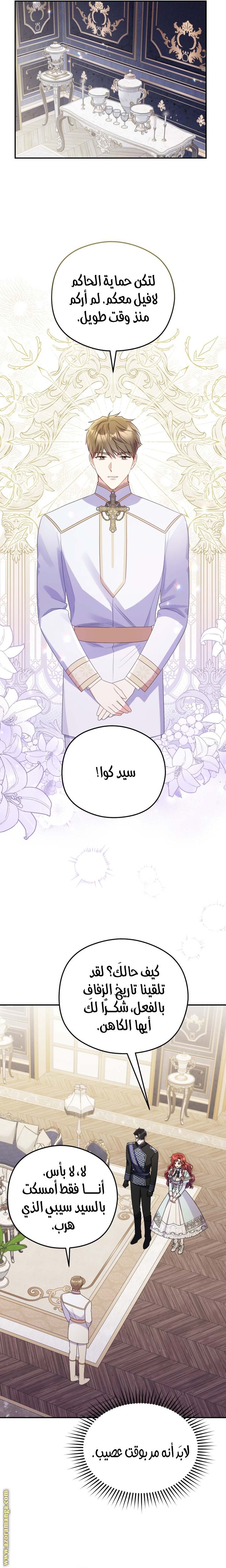 الصفحة 17