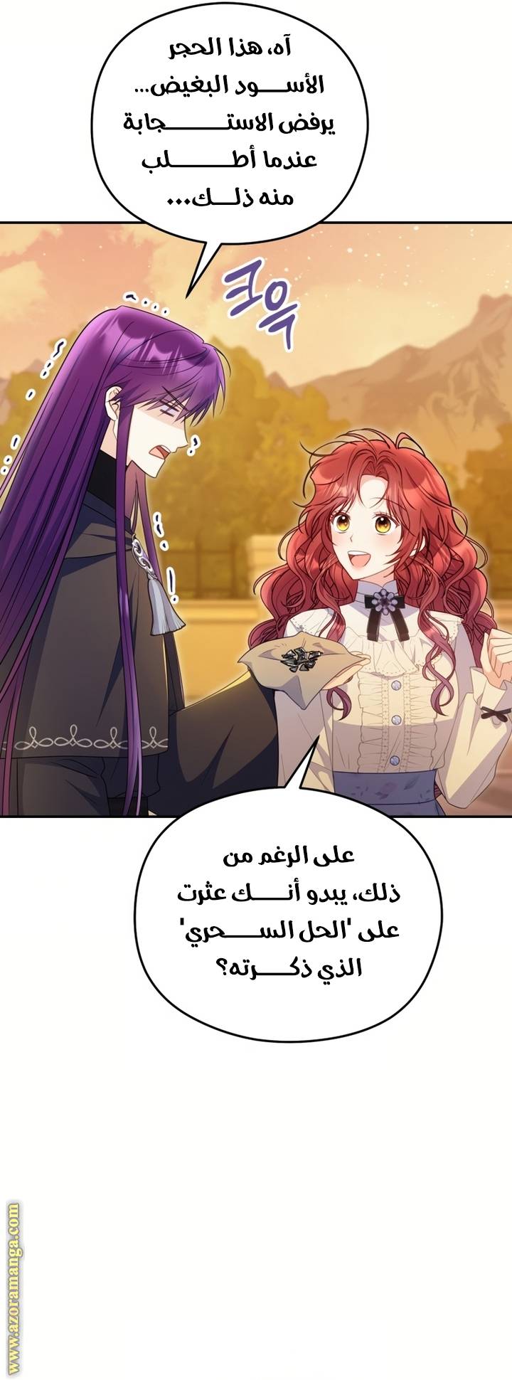 الصفحة 25