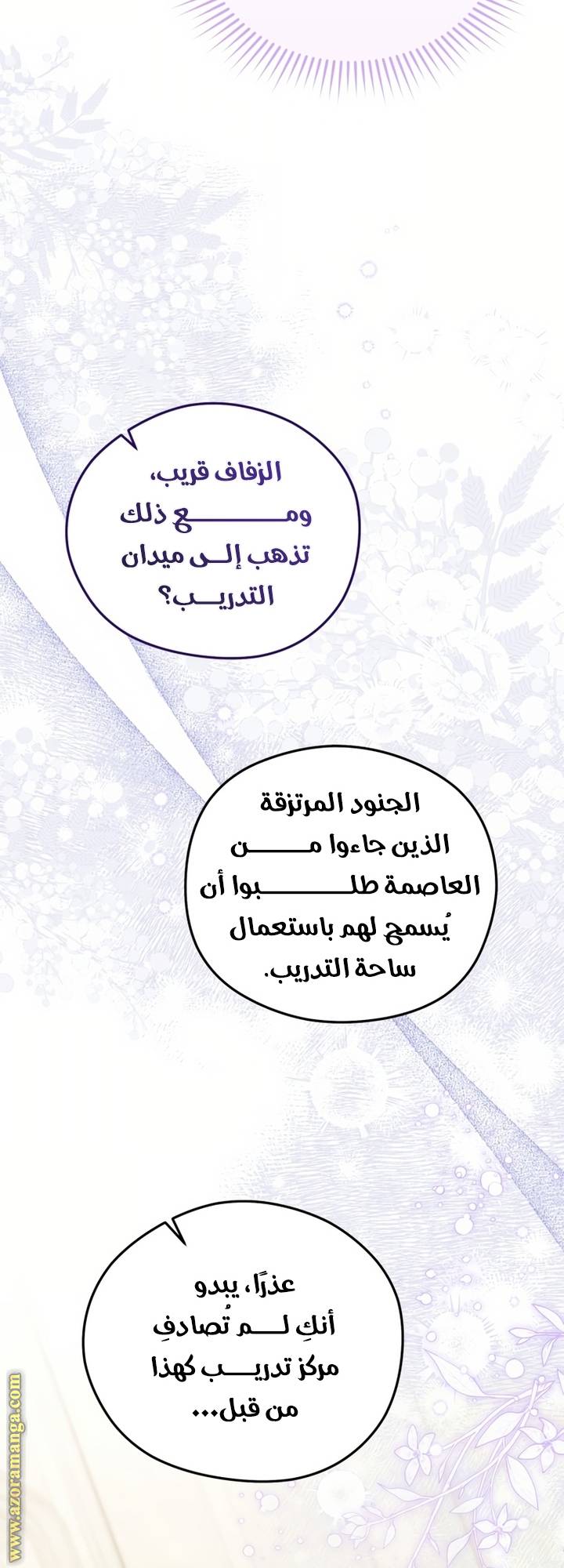الصفحة 43