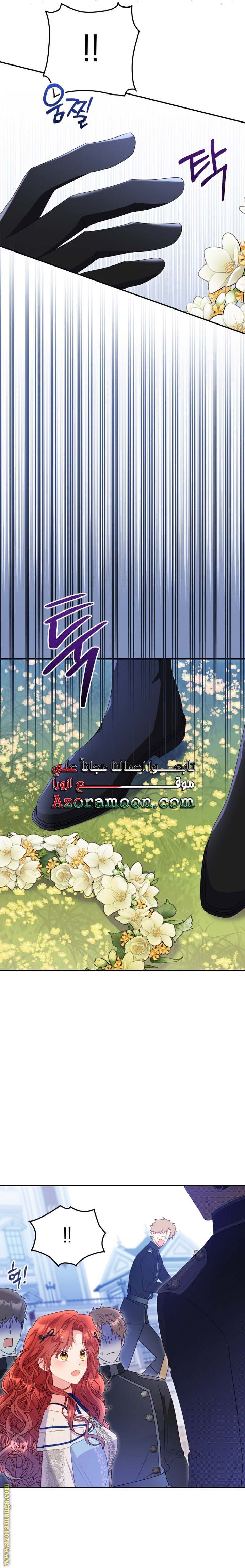 الصفحة 25