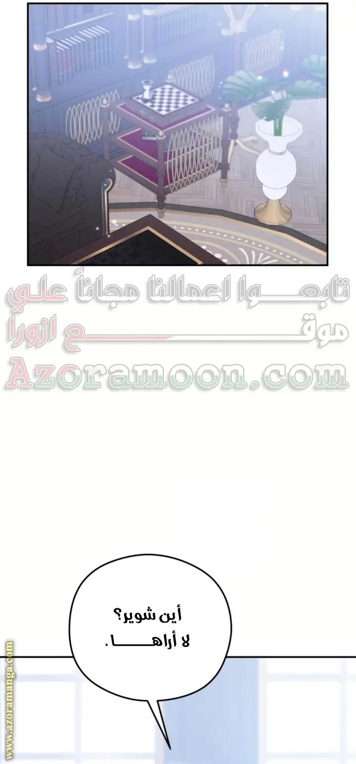 الصفحة 31